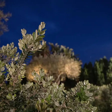 Panzió La Manica Milazzo